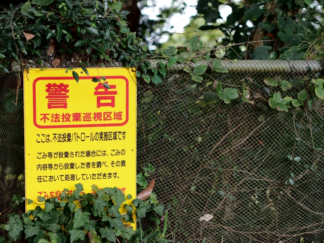 low_bg6
